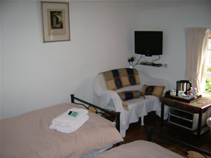 TV and tea/coffee facilities